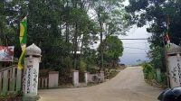 IMG-20250701-WA0046